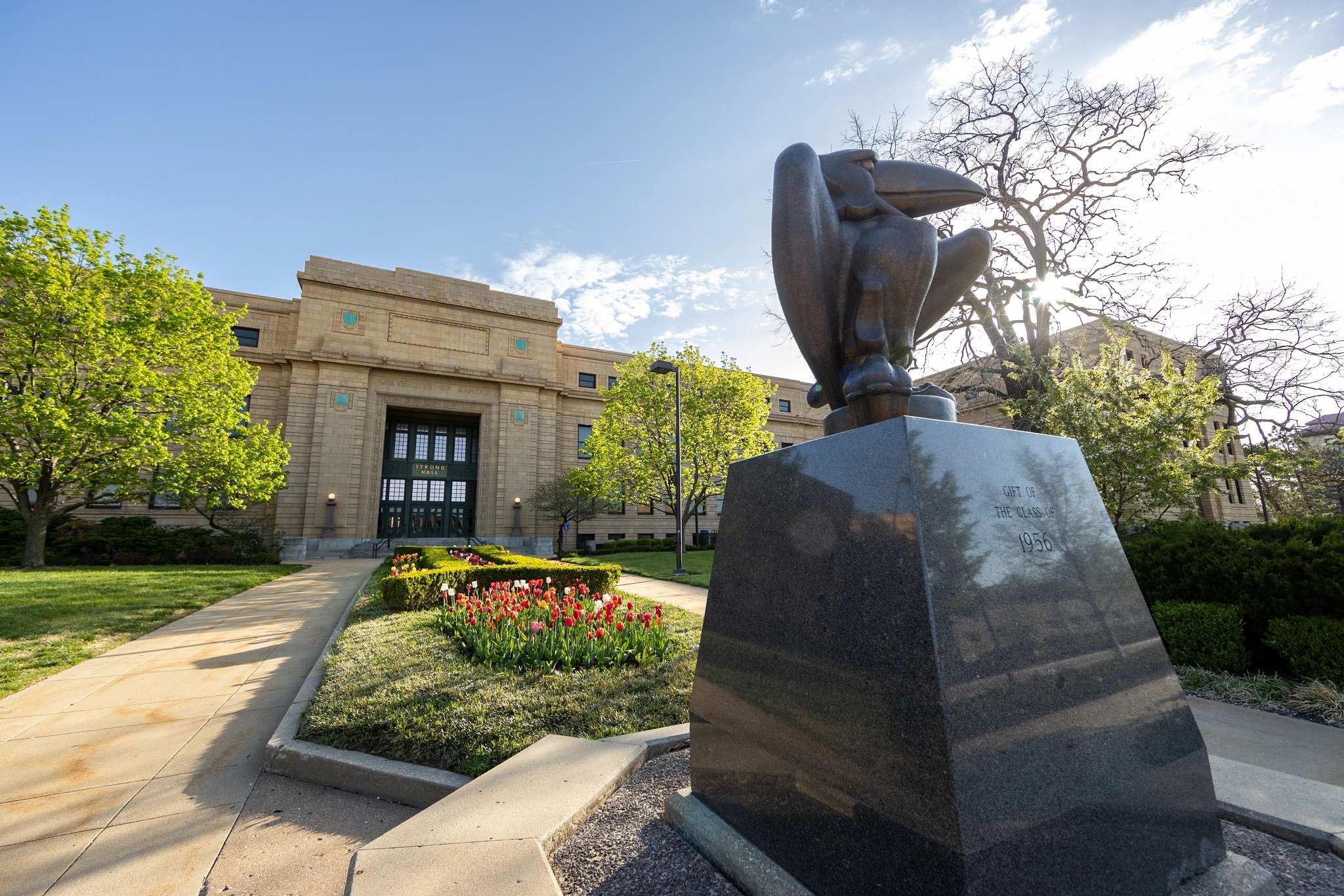 Strong hall and jayhawk statue