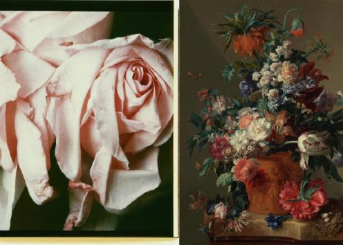 Pink Roses, 1980, Chris Enos. Polaroid dye diffusion print, 24 1/16 × 20 5/8 in. Getty Museum, 84.XP.465. © Chris Enos and Vase of Flowers, 1722, Jan van Huysum. Oil on panel, 31 5/8 × 24 in. Getty Museum, 82.PB.70