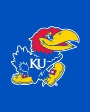Placeholder image of a jayhawk